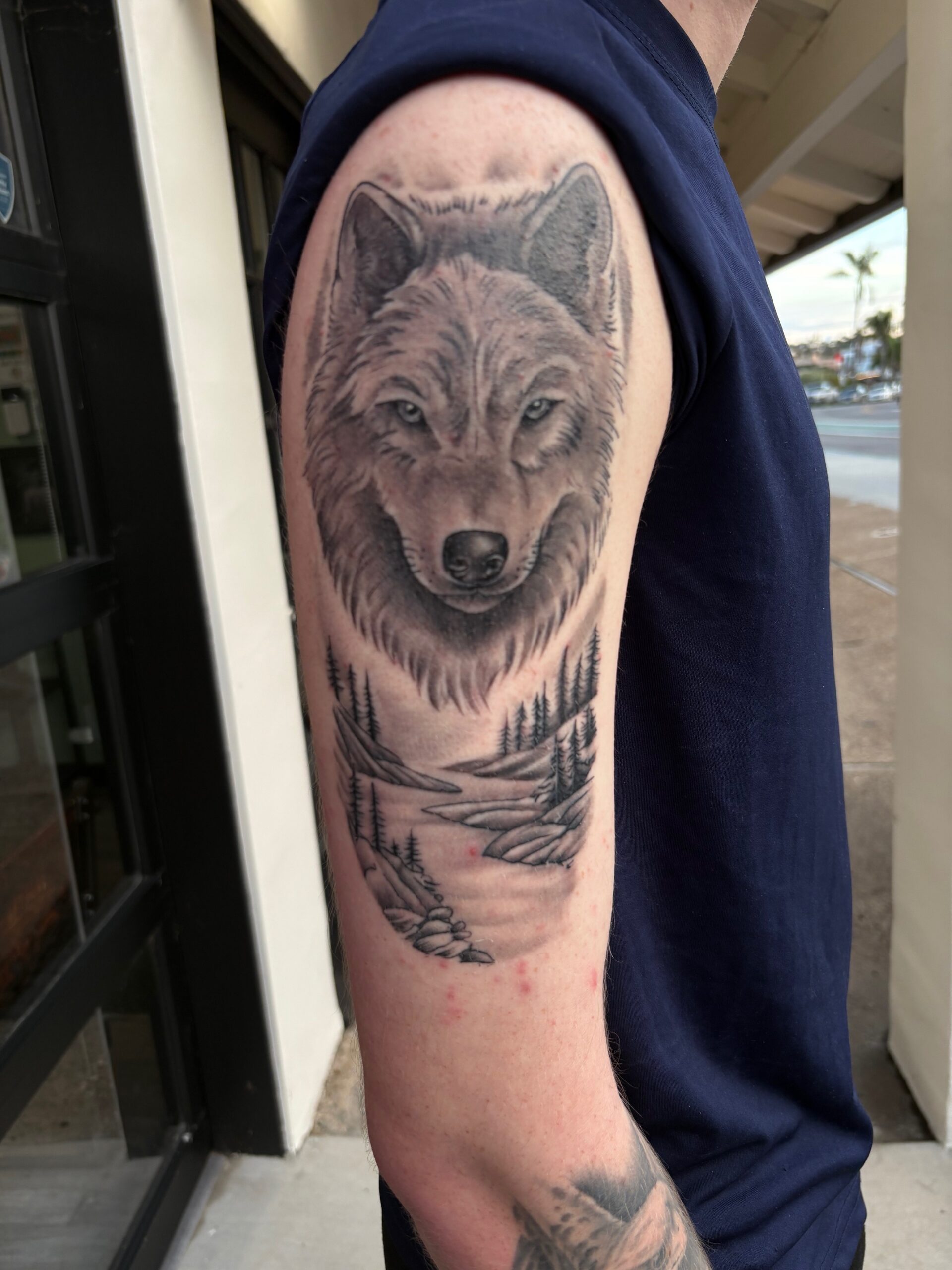 Black and grey realistic wolf tattoo by Teer at Propaganda Tattoo in San Diego